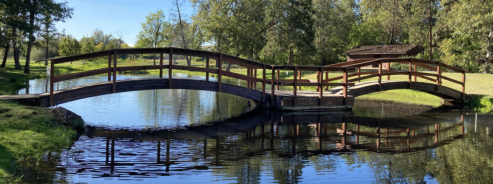 Sally’s bridge — a place she visited with her mother